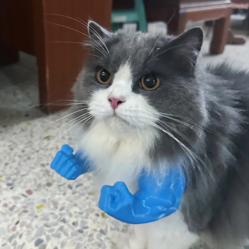 Bras Musclé 3D pour Chat – Costume Cosplay Drôle, Accessoire Photo & Halloween