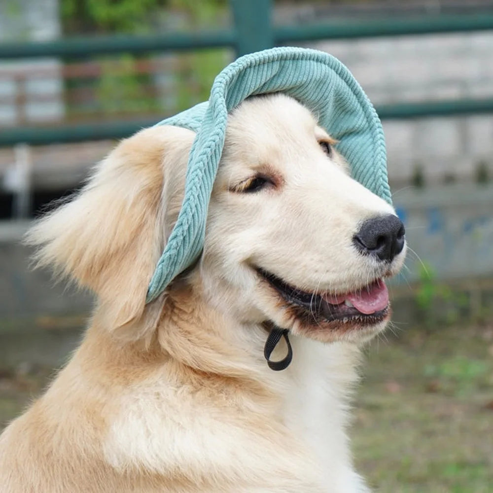 Chapeau pour Chien Anti-UV – Casquette Réglable en Velours Côtelé, Tailles XS à XL