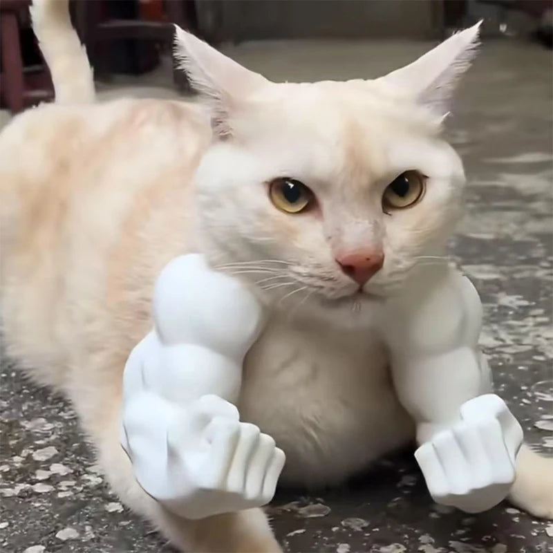 Bras Musclé 3D pour Chat – Costume Cosplay Drôle, Accessoire Photo & Halloween