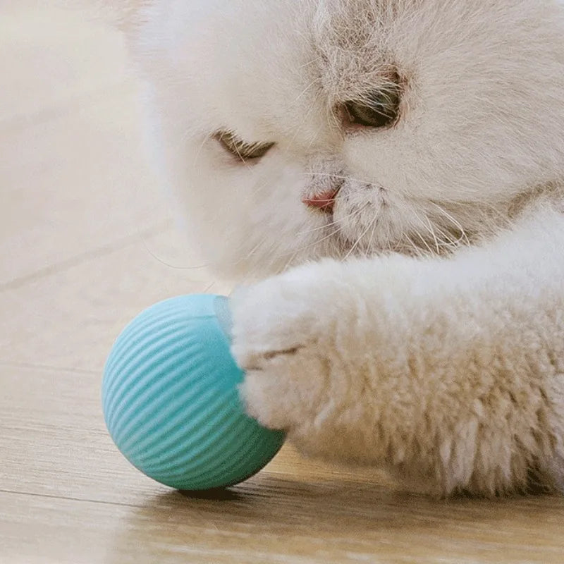 Balle Interactive pour Chat – Jouet Intelligent Roulant Automatique, Rechargeable USB