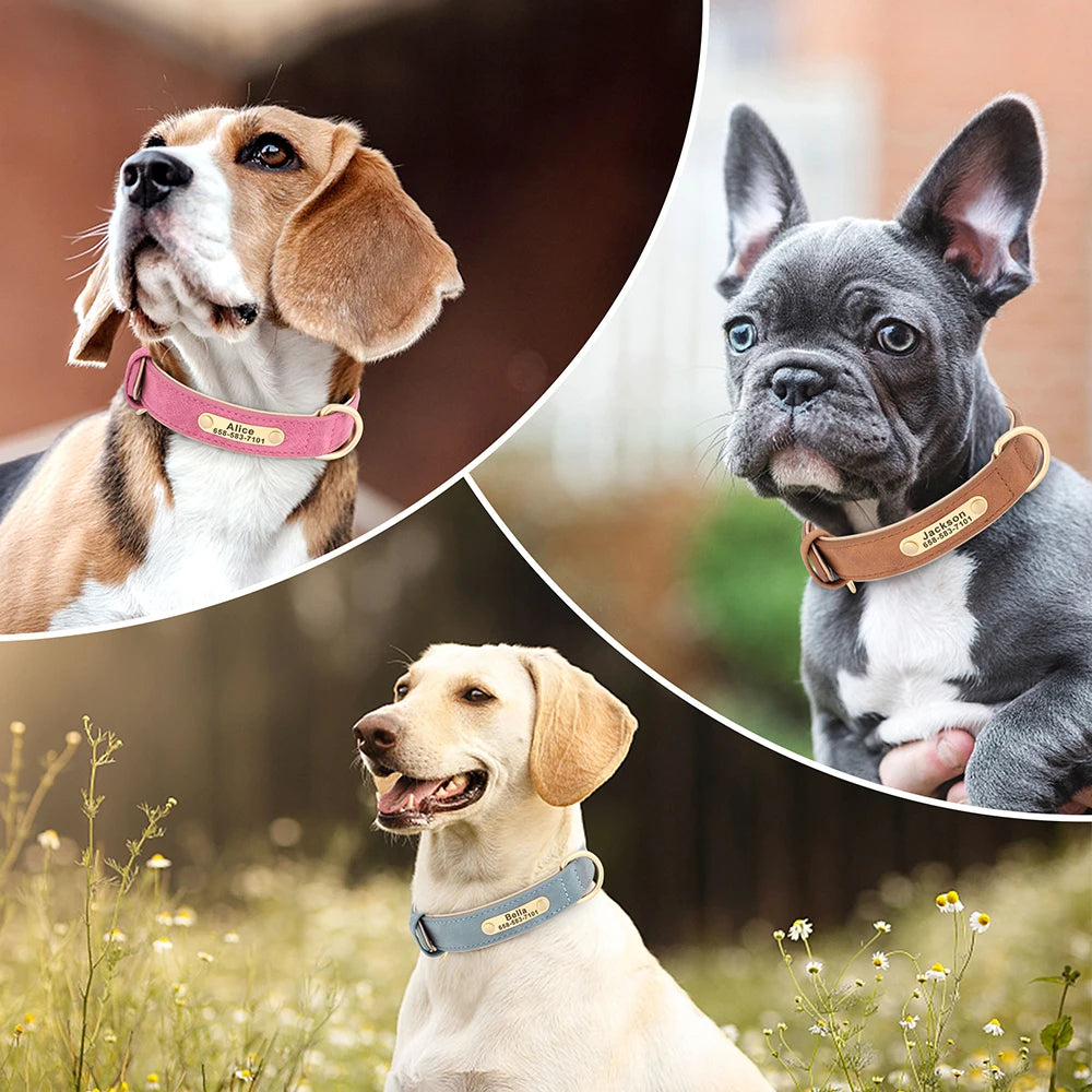 Collier Personnalisé pour Chien – Cuir PU Gravé avec Nom & Numéro, Tailles XS à XL