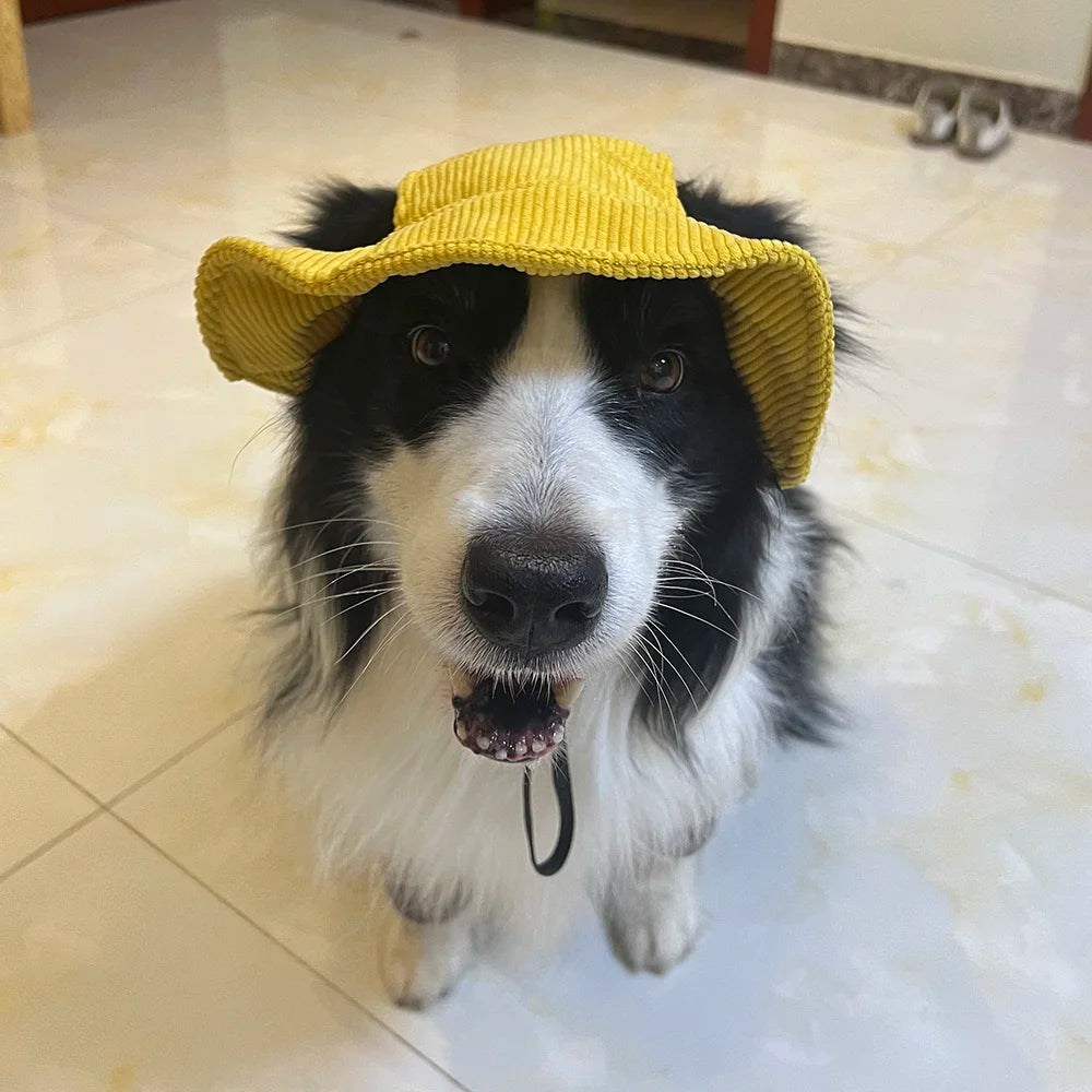 Chapeau pour Chien Anti-UV – Casquette Réglable en Velours Côtelé, Tailles XS à XL