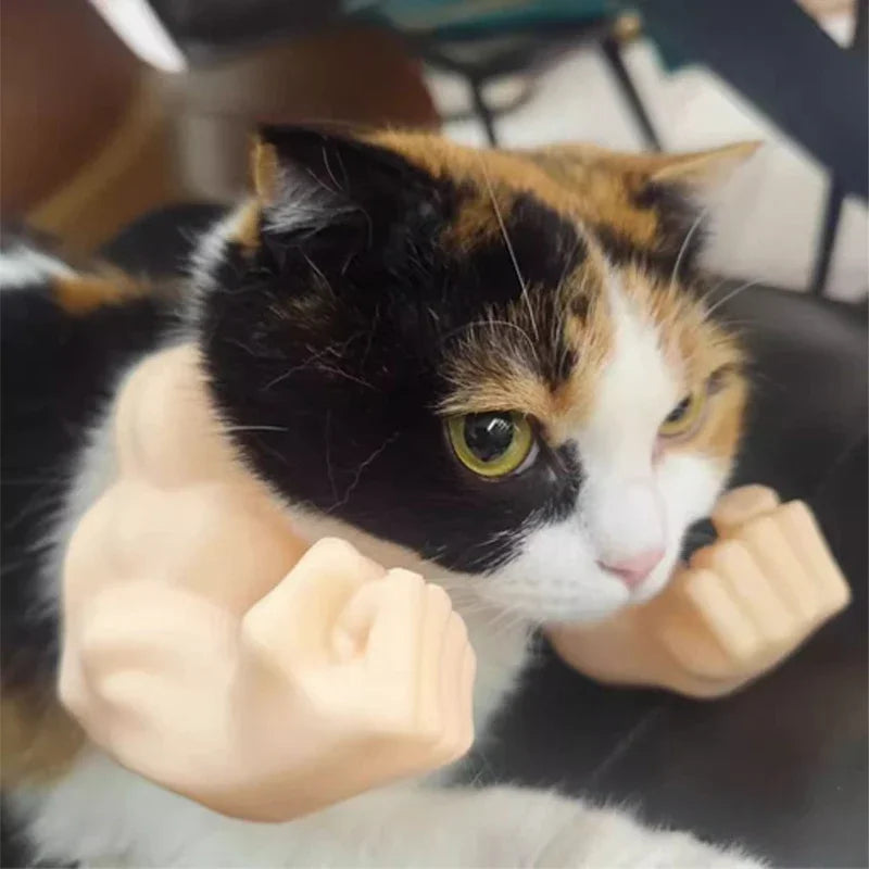 Bras Musclé 3D pour Chat – Costume Cosplay Drôle, Accessoire Photo & Halloween