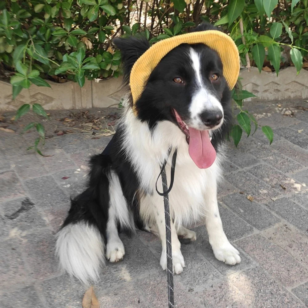 Chapeau pour Chien Anti-UV – Casquette Réglable en Velours Côtelé, Tailles XS à XL